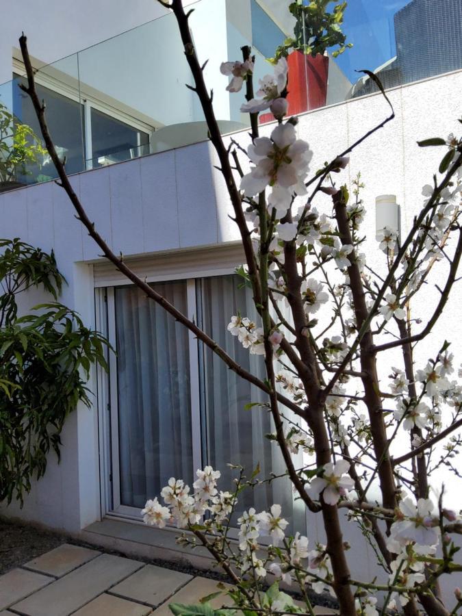 Villa Marjal 과다마르델세게라 외부 사진